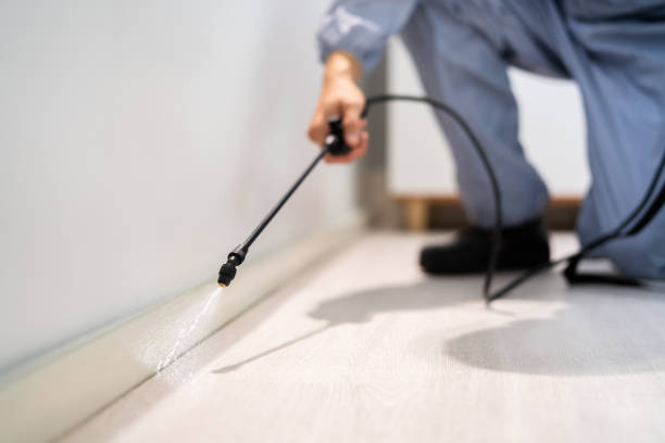 Professional exterminator conducting IPM assessment in Conway